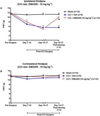 Attenuation of the Infiltration of Angiotensin II Expressing CD3+ T-Cells and the Modulation of Nerve Growth Factor in Lumbar Dorsal Root Ganglia – A Possible Mechanism Underpinning Analgesia Produced by EMA300, An Angiotensin II Type 2 (AT2) Receptor Antagonist